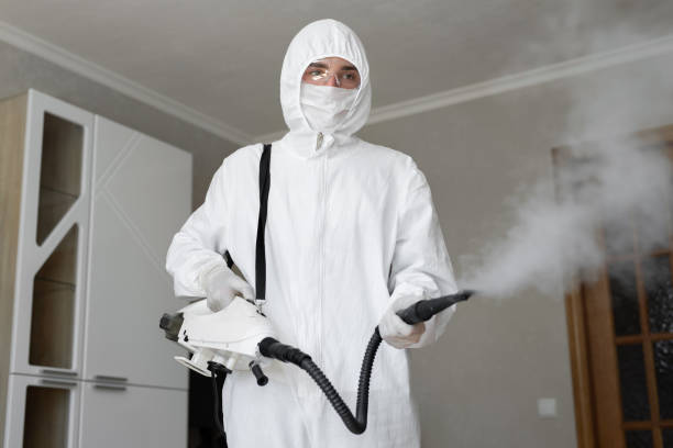 Why You Should Choose Our Mold Remediation Services in Hanapepe, HI